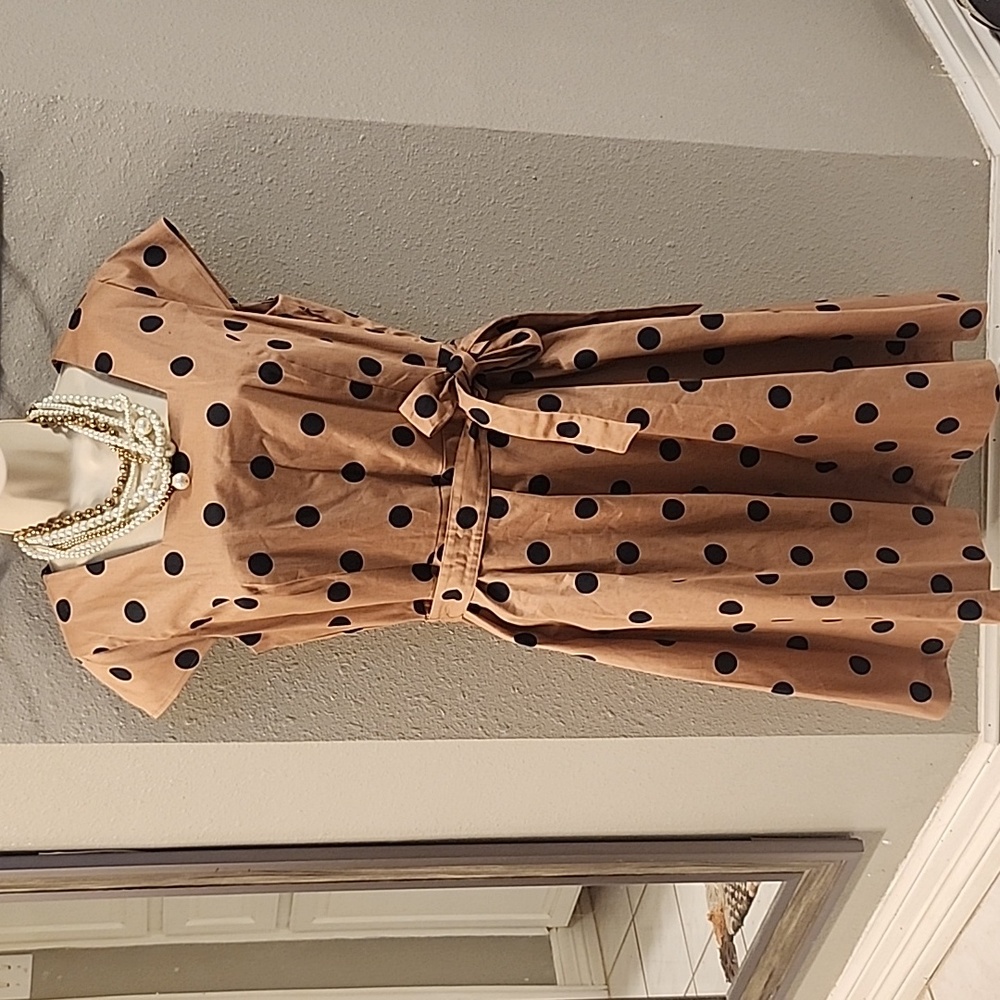 Isaac Mizrahi Special Edition brown with black polka dots dress, Size 6